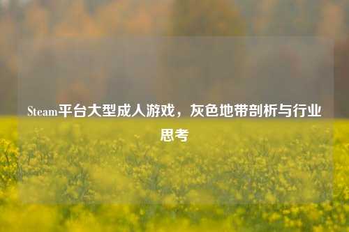 Steam平台大型成人游戏,灰色地带剖析与行业思考