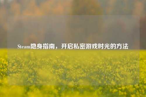 Steam隐身指南,开启私密游戏时光的方法