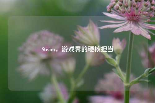 Steam,游戏界的硬核担当