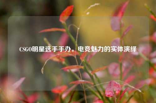 CSGO明星选手手办,电竞魅力的实体演绎
