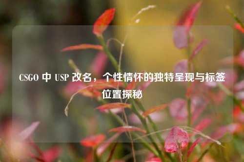CSGO 中 USP 改名,个性情怀的独特呈现与标签位置探秘