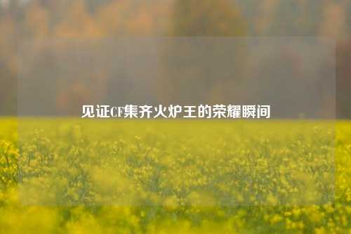 见证CF集齐火炉王的荣耀瞬间