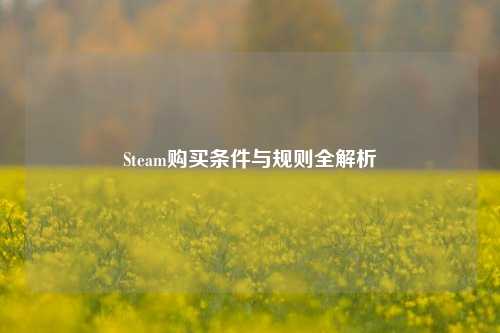 Steam购买条件与规则全解析