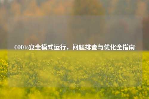 COD16安全模式运行,问题排查与优化全指南