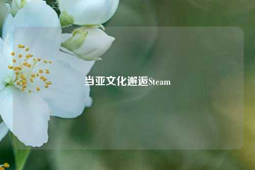 当亚文化邂逅Steam