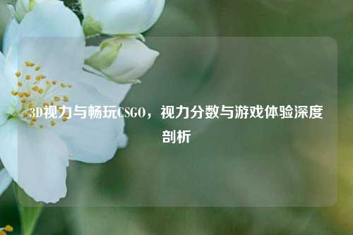 3D视力与畅玩CSGO,视力分数与游戏体验深度剖析
