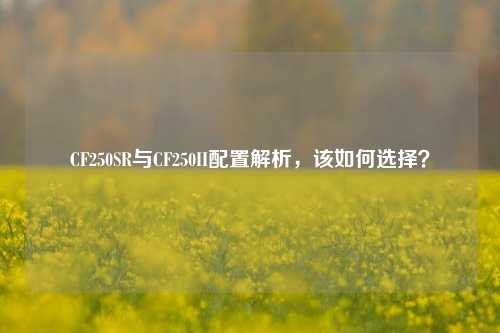 CF250SR与CF250II配置解析,该如何选择?