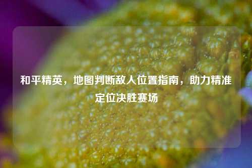 和平精英,地图判断敌人位置指南,助力精准定位决胜赛场