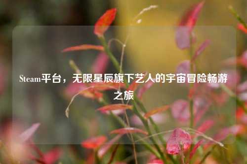 Steam平台,无限星辰旗下艺人的宇宙冒险畅游之旅