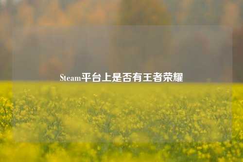 Steam平台上是否有王者荣耀