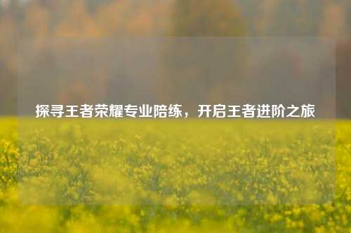 探寻王者荣耀专业陪练,开启王者进阶之旅
