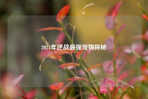 2021年逆战最强宠物探秘