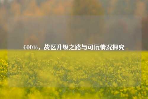 COD16,战区升级之路与可玩情况探究
