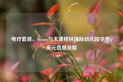电疗套装、Steam与天津格林国际幼儿园学费，多元信息杂糅