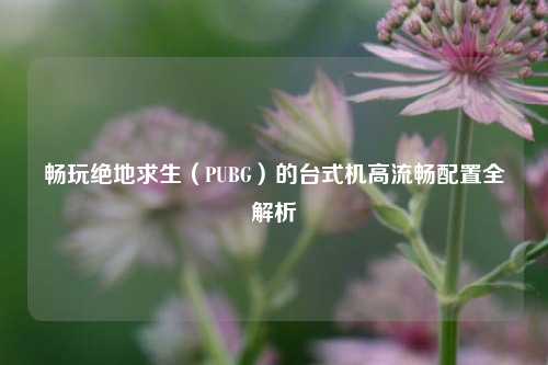 畅玩绝地求生(PUBG)的台式机高流畅配置全解析