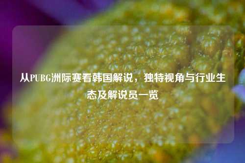 从PUBG洲际赛看韩国解说,独特视角与行业生态及解说员一览
