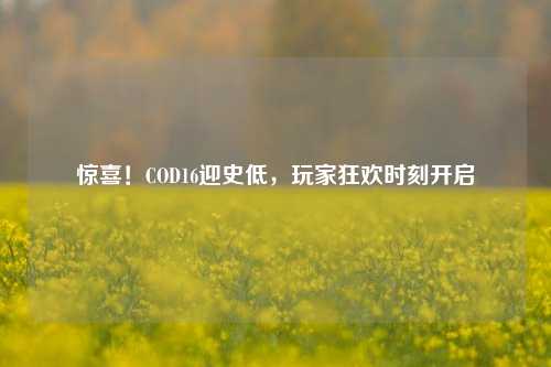 惊喜!COD16迎史低,玩家狂欢时刻开启