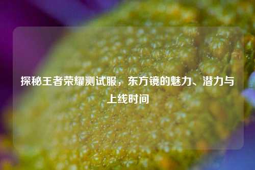 探秘王者荣耀测试服,东方镜的魅力、潜力与上线时间