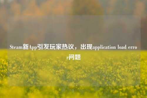 Steam新App引发玩家热议,出现application load error问题