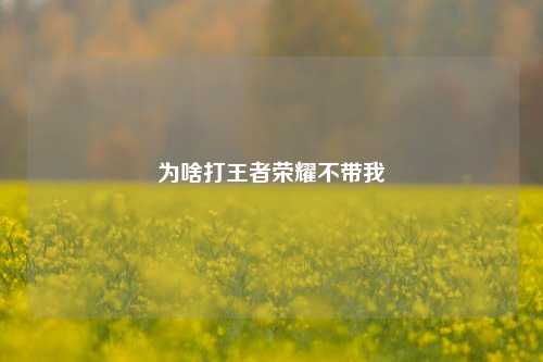 为啥打王者荣耀不带我