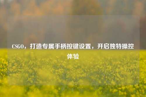 CSGO,打造专属手柄按键设置,开启独特操控体验
