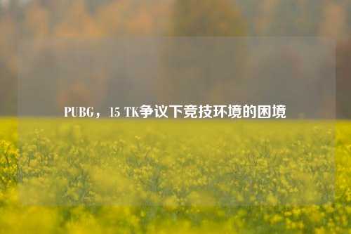 PUBG,15 TK争议下竞技环境的困境