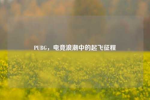 PUBG,电竞浪潮中的起飞征程