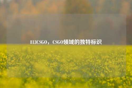 813CSGO,CSGO领域的独特标识