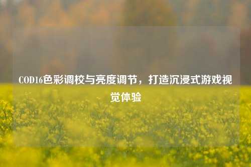 COD16色彩调校与亮度调节,打造沉浸式游戏视觉体验