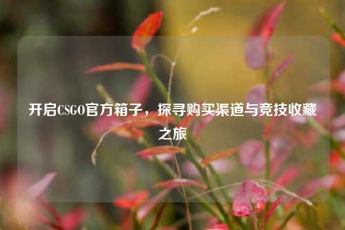 开启CSGO官方箱子，探寻购买渠道与竞技收藏之旅