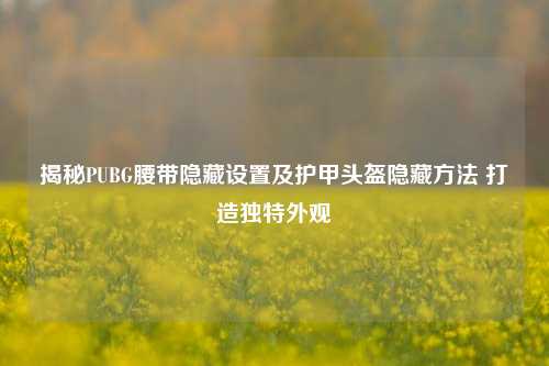 揭秘PUBG腰带隐藏设置及护甲头盔隐藏方法 打造独特外观