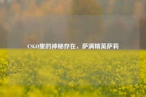CSGO里的神秘存在,萨满精英萨莉