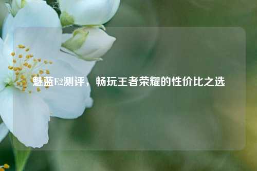 魅蓝E2测评,畅玩王者荣耀的性价比之选