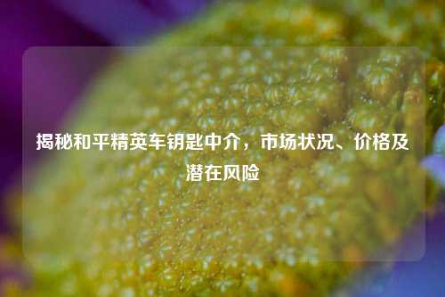 揭秘和平精英车钥匙中介,市场状况、价格及潜在风险