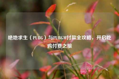绝地求生(PUBG)与PUBGM付款全攻略,开启吃鸡付费之旅