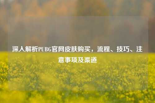 深入解析PUBG官网皮肤购买,流程、技巧、注意事项及渠道