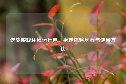 逆战游戏环境运行包,稳定体验基石与使用方法