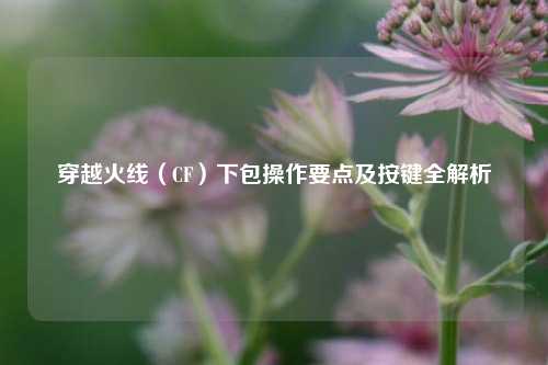 穿越火线(CF)下包操作要点及按键全解析