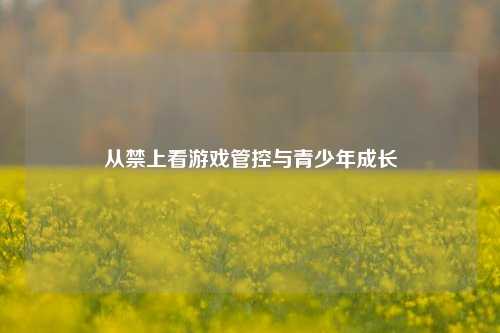 从禁上看游戏管控与青少年成长