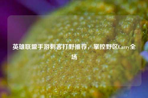 英雄联盟手游刺客打野推荐,掌控野区Carry全场