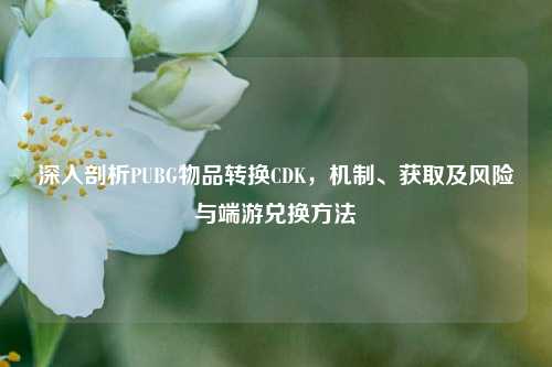 深入剖析PUBG物品转换CDK,机制、获取及风险与端游兑换方法
