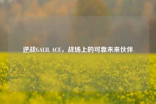 逆战GALIL ACE，战场上的可靠未来伙伴