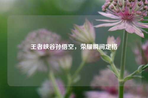 王者峡谷孙悟空,荣耀瞬间定格