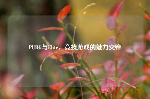 PUBG与Elite,竞技游戏的魅力交锋