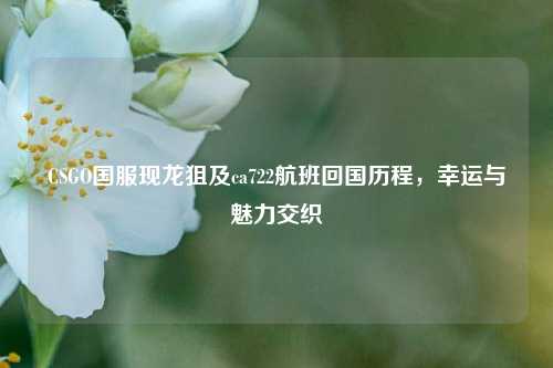 CSGO国服现龙狙及ca722航班回国历程,幸运与魅力交织