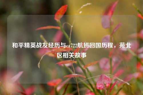 和平精英战友经历与ca722航班回国历程,苑北区相关故事
