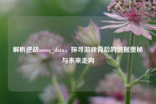 解析逆战nmog_data,探寻游戏背后的数据奥秘与未来走向