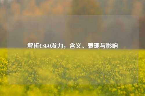 解析CSGO发力,含义、表现与影响