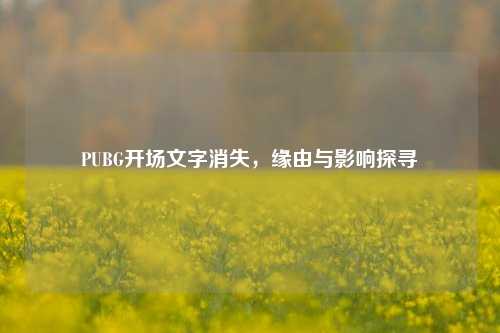 PUBG开场文字消失,缘由与影响探寻