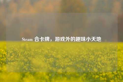 Steam 合卡牌,游戏外的趣味小天地